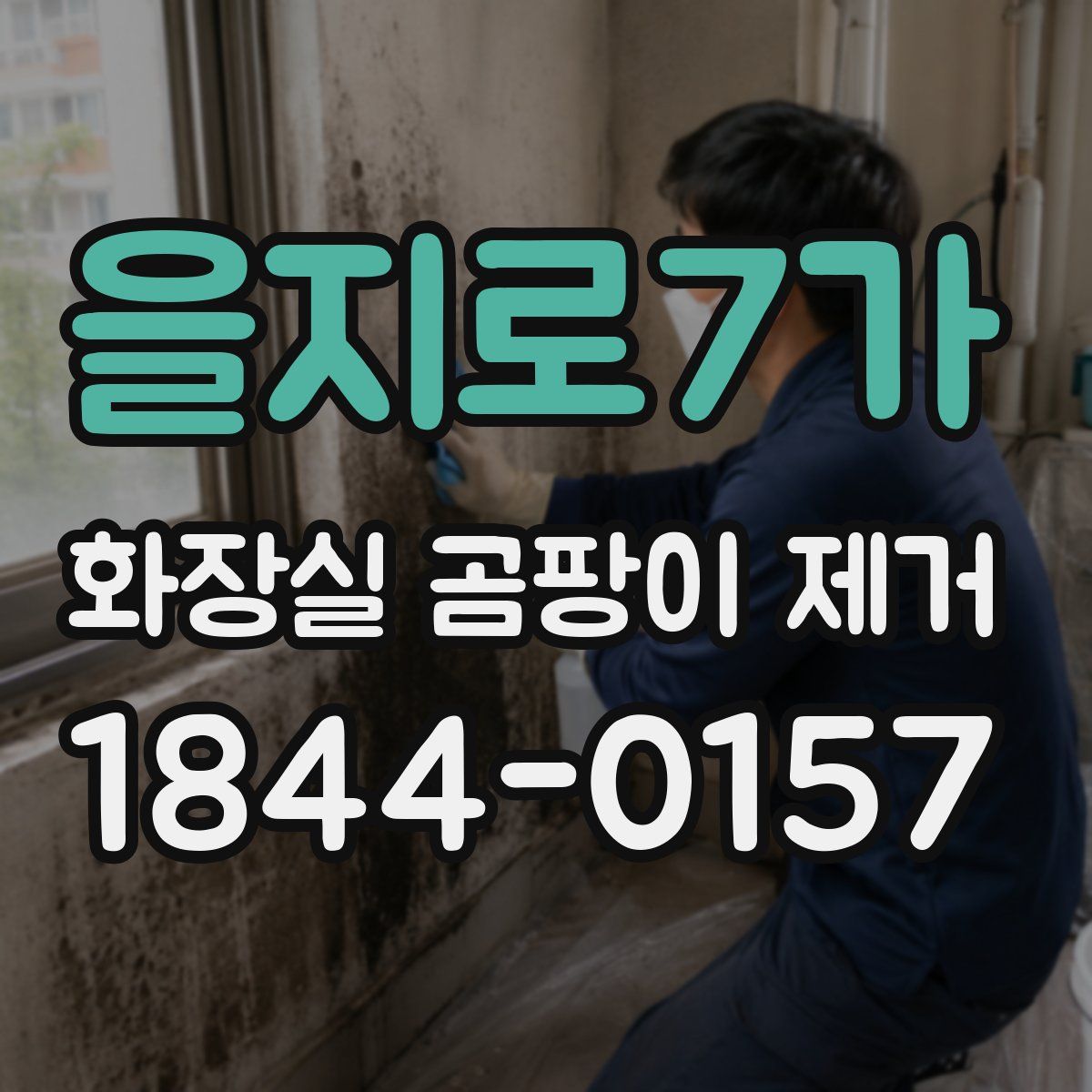 을지로7가 화장실 곰팡이 제거