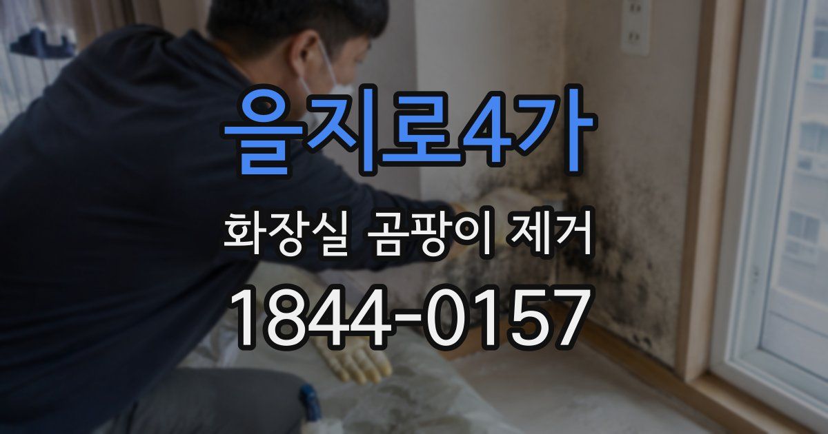 을지로4가 화장실 곰팡이 제거