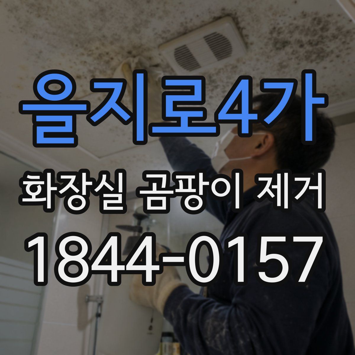 을지로4가 화장실 곰팡이 제거