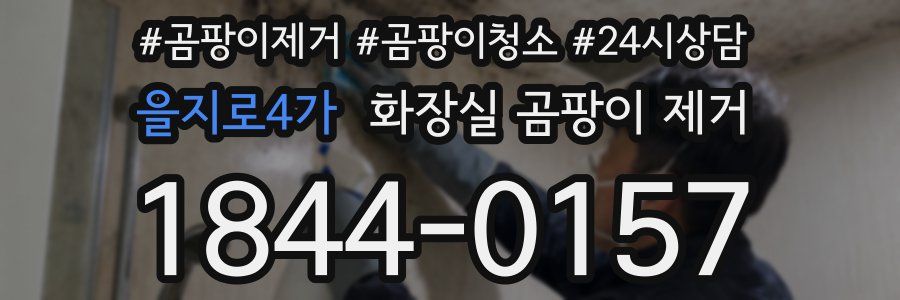 을지로4가 화장실 곰팡이 제거