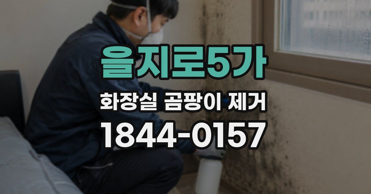 을지로5가 화장실 곰팡이 제거