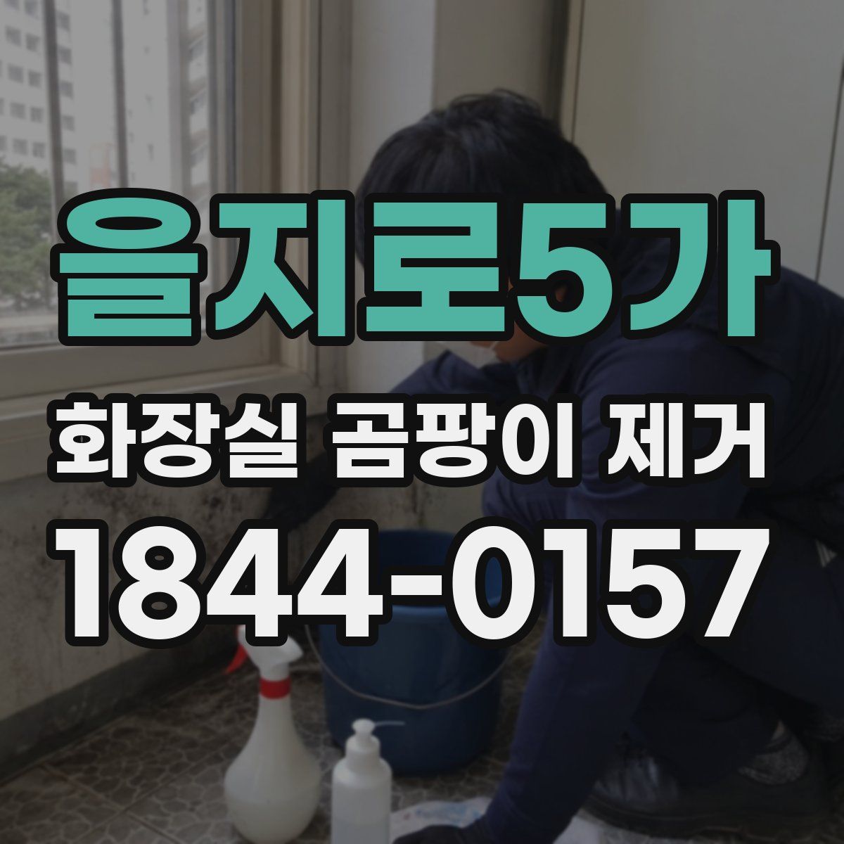 을지로5가 화장실 곰팡이 제거