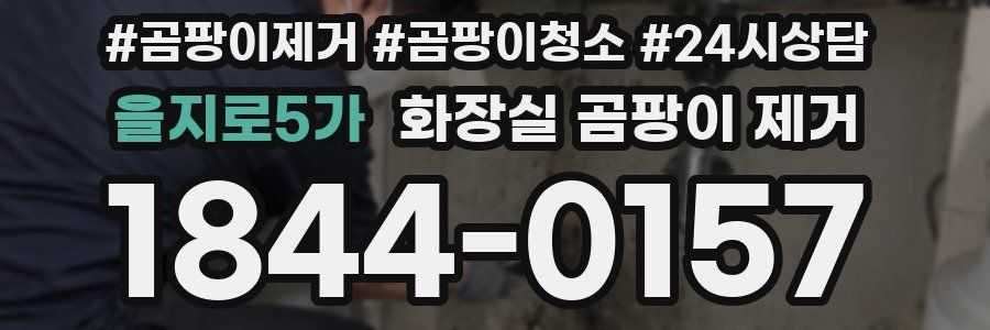 을지로5가 화장실 곰팡이 제거