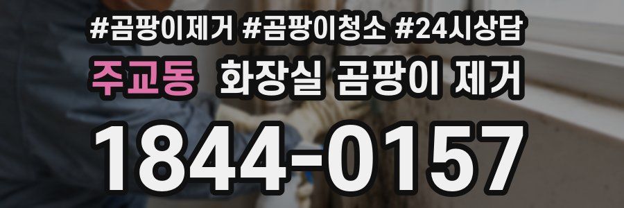 주교동 화장실 곰팡이 제거