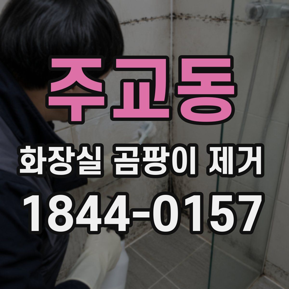 주교동 화장실 곰팡이 제거