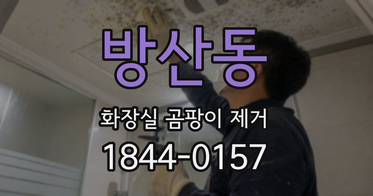 방산동 화장실 곰팡이 제거
