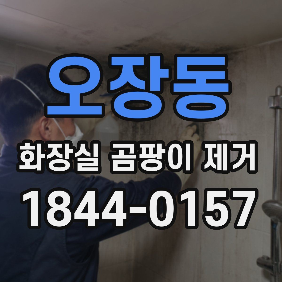 오장동 화장실 곰팡이 제거 후 벽체 손상이 보일 때 점검해야 할 부분