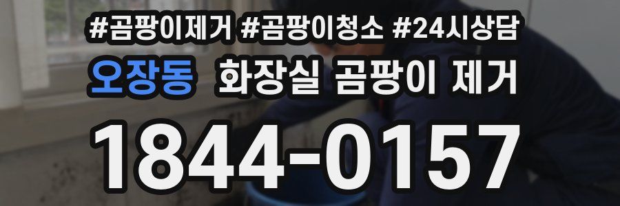 오장동 화장실 곰팡이 제거