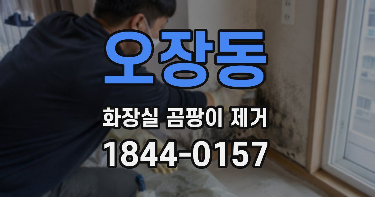오장동 화장실 곰팡이 제거
