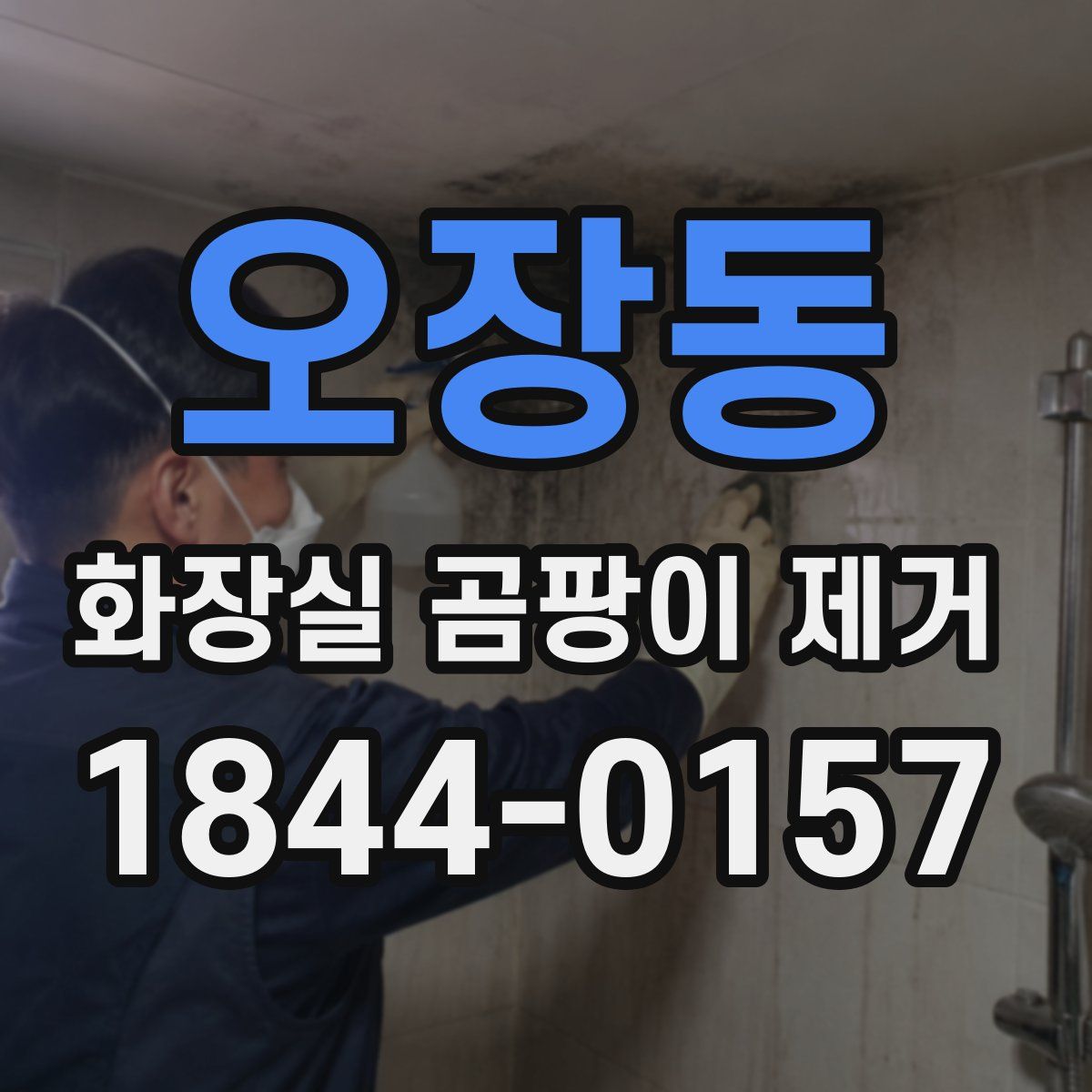 오장동 화장실 곰팡이 제거