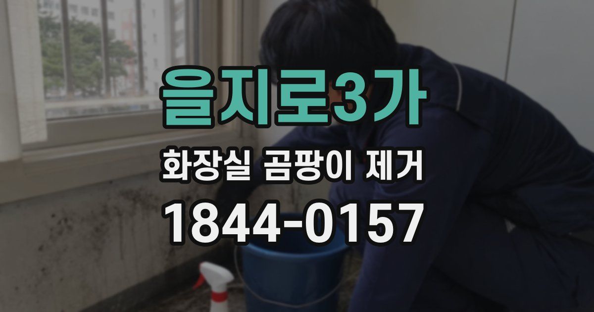 을지로3가 화장실 곰팡이 제거