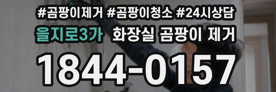 을지로3가 화장실 곰팡이 제거