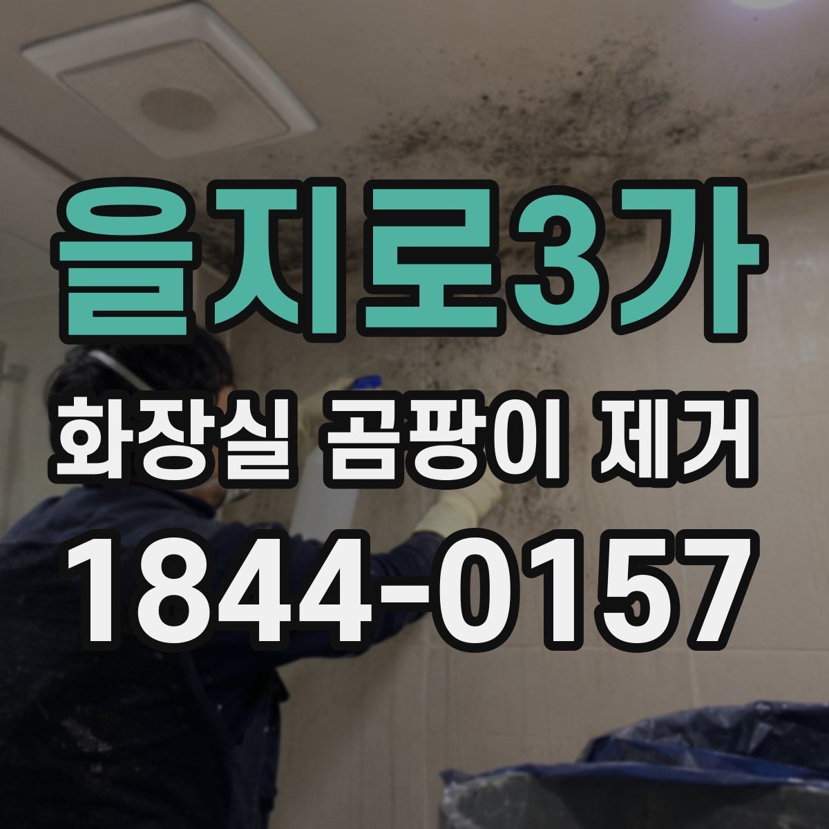 을지로3가 화장실 곰팡이 제거