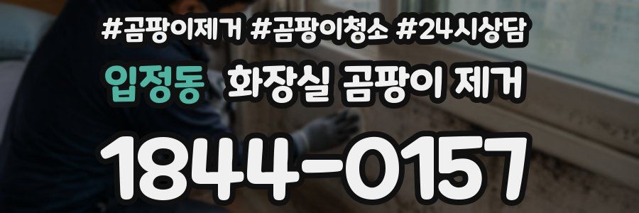 입정동 화장실 곰팡이 제거