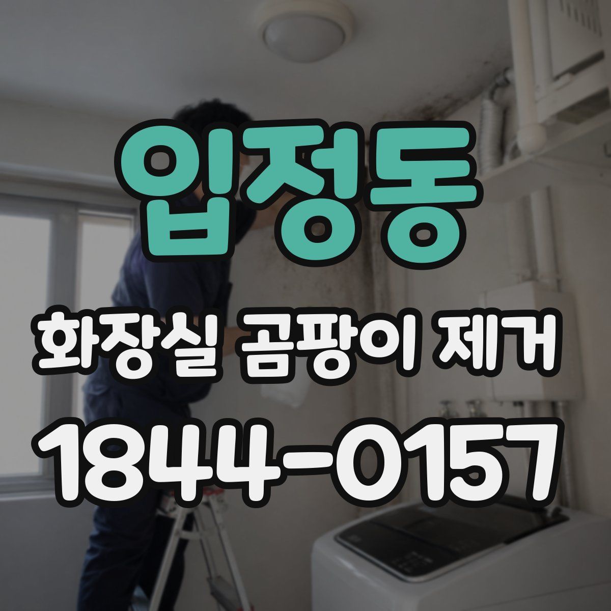 입정동 화장실 곰팡이 제거