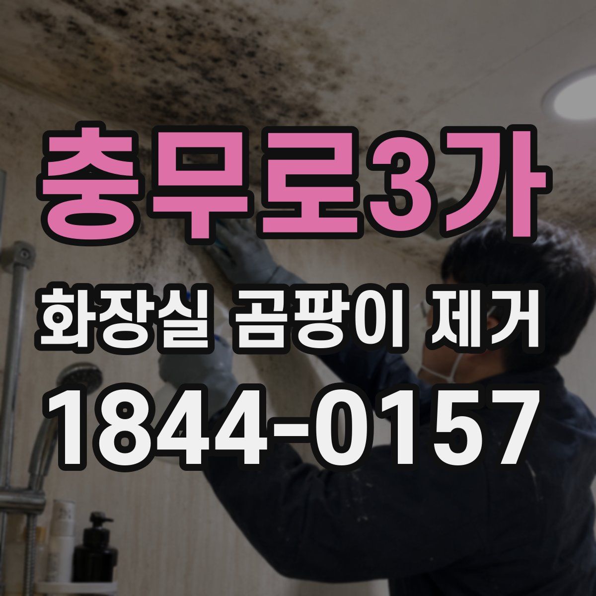 충무로3가 화장실 곰팡이 제거
