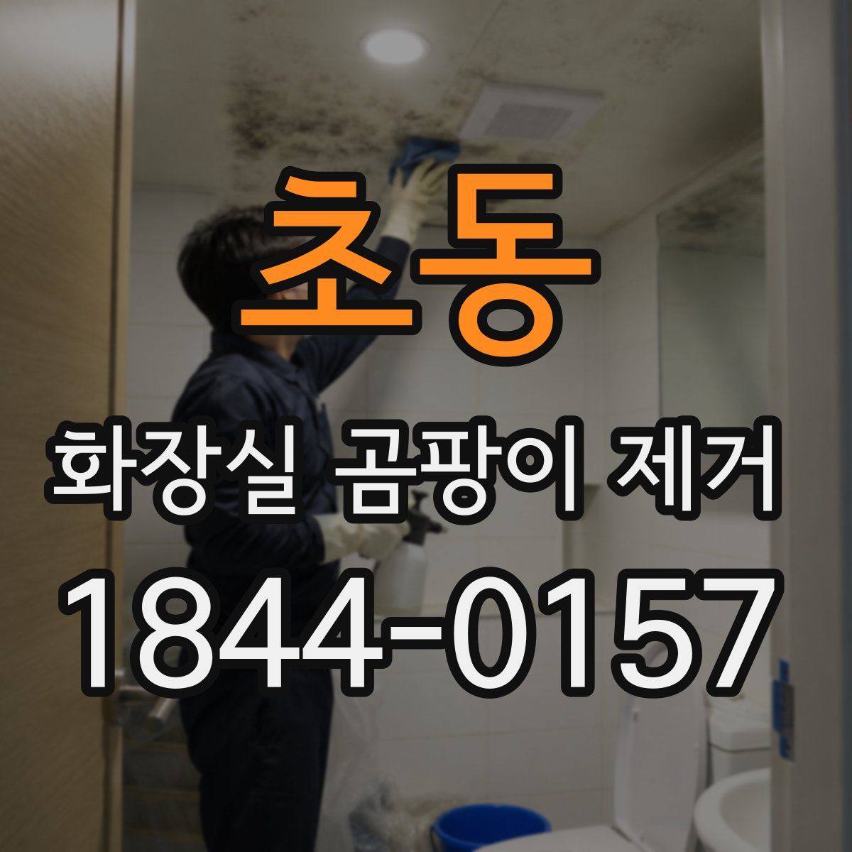 초동 화장실 곰팡이 제거