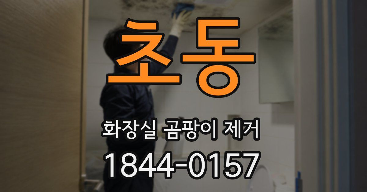 초동 화장실 곰팡이 제거