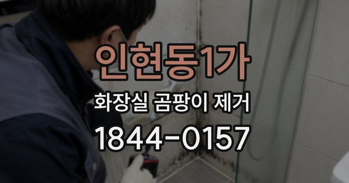 인현동1가 화장실 곰팡이 제거