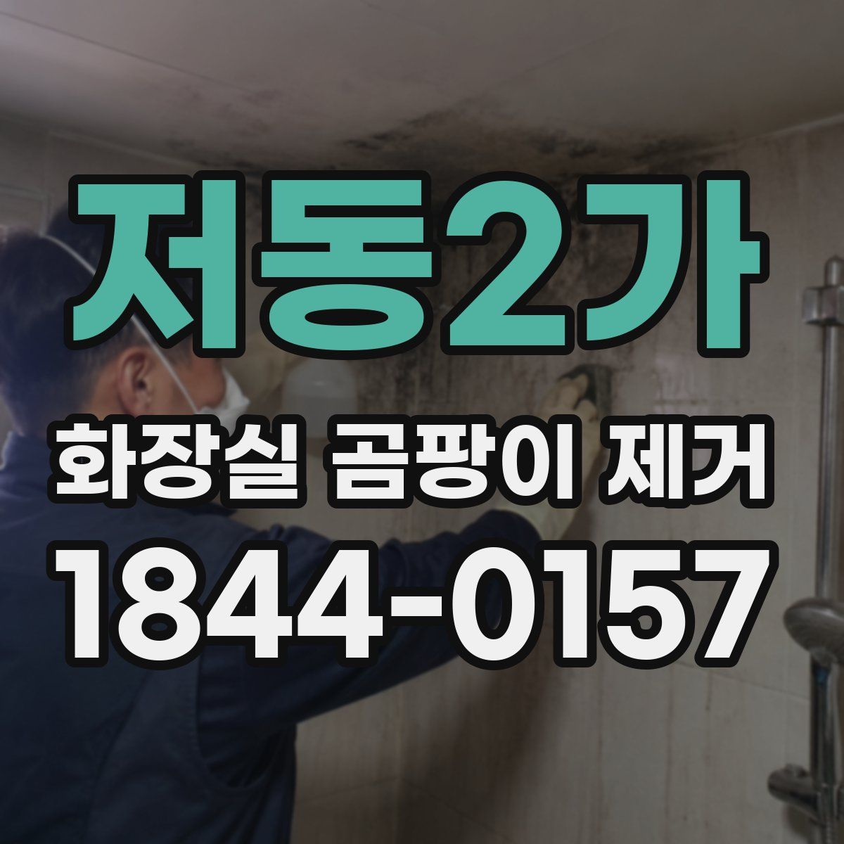 저동2가 화장실 곰팡이 제거