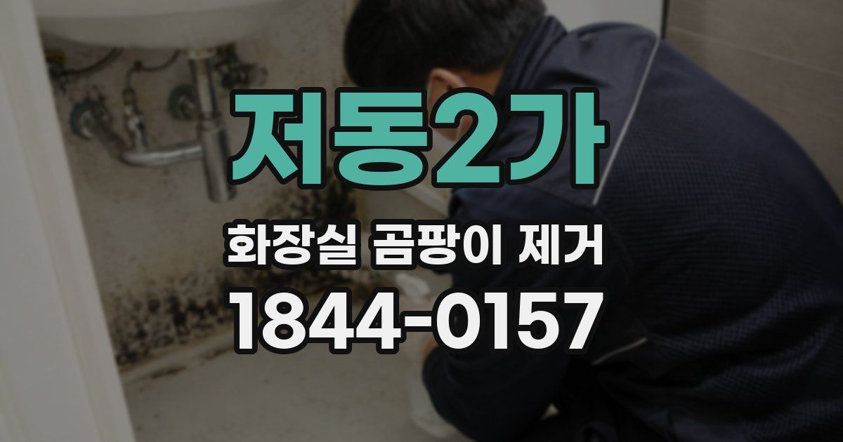 저동2가 화장실 곰팡이 제거