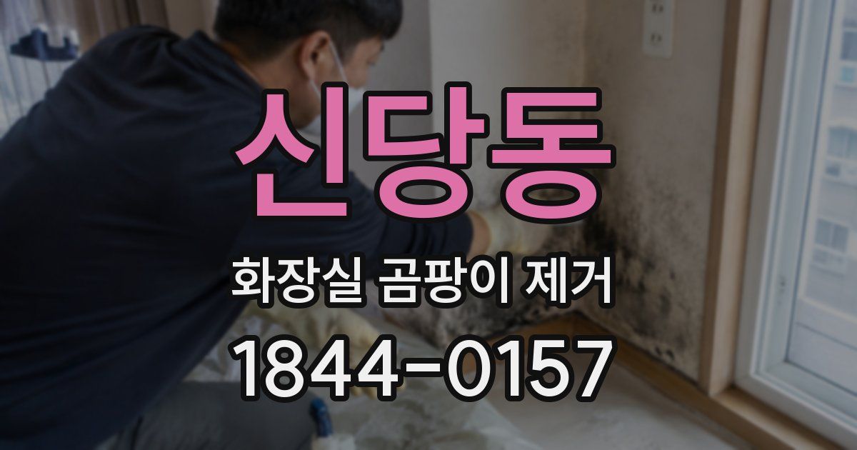 신당동 화장실 곰팡이 제거