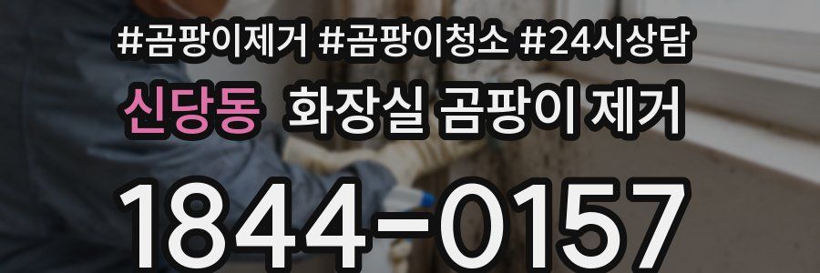 신당동 화장실 곰팡이 제거