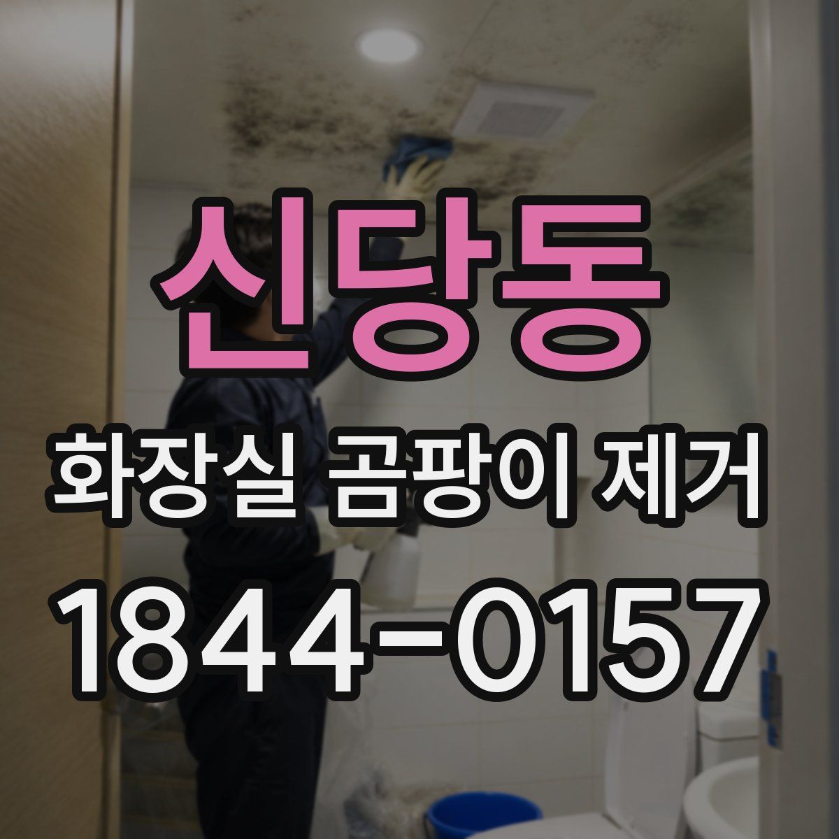 신당동 화장실 곰팡이 제거