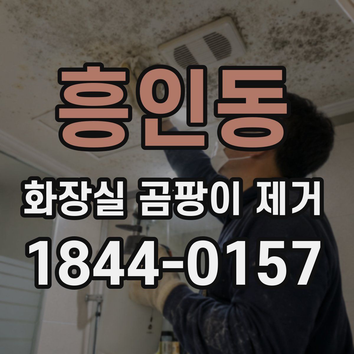 흥인동 화장실 곰팡이 제거