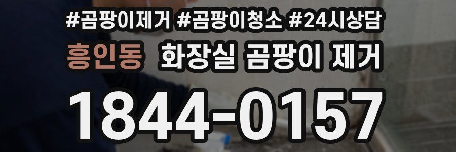 흥인동 화장실 곰팡이 제거