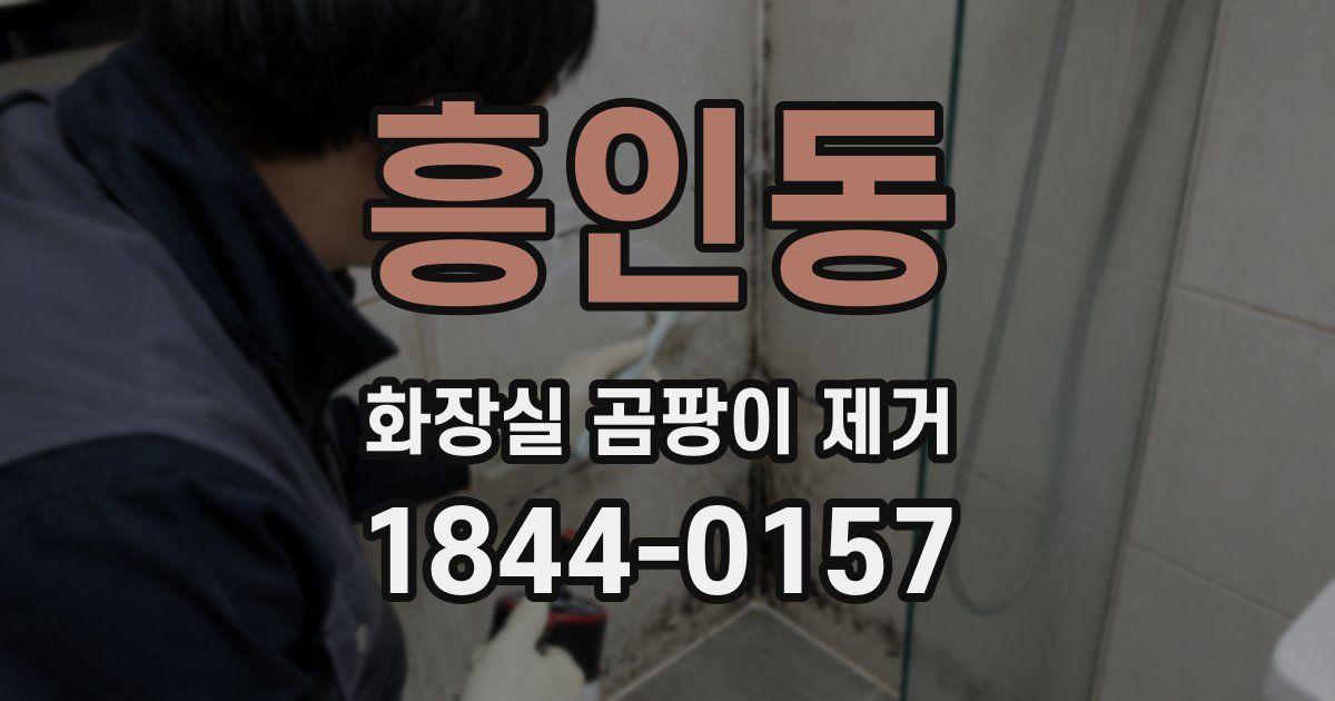 흥인동 화장실 곰팡이 제거
