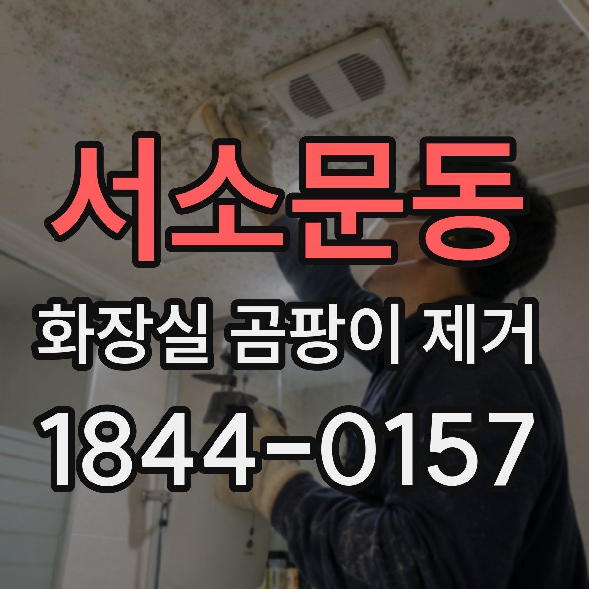 서소문동 화장실 곰팡이 제거 뒤에도 번질 때 살펴볼 원인