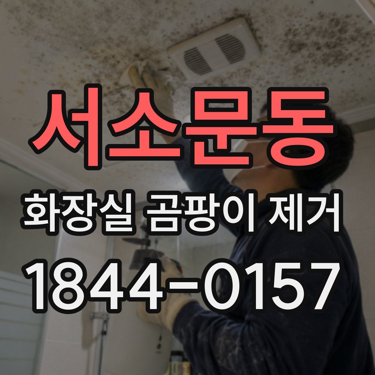 서소문동 화장실 곰팡이 제거