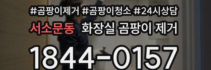 서소문동 화장실 곰팡이 제거
