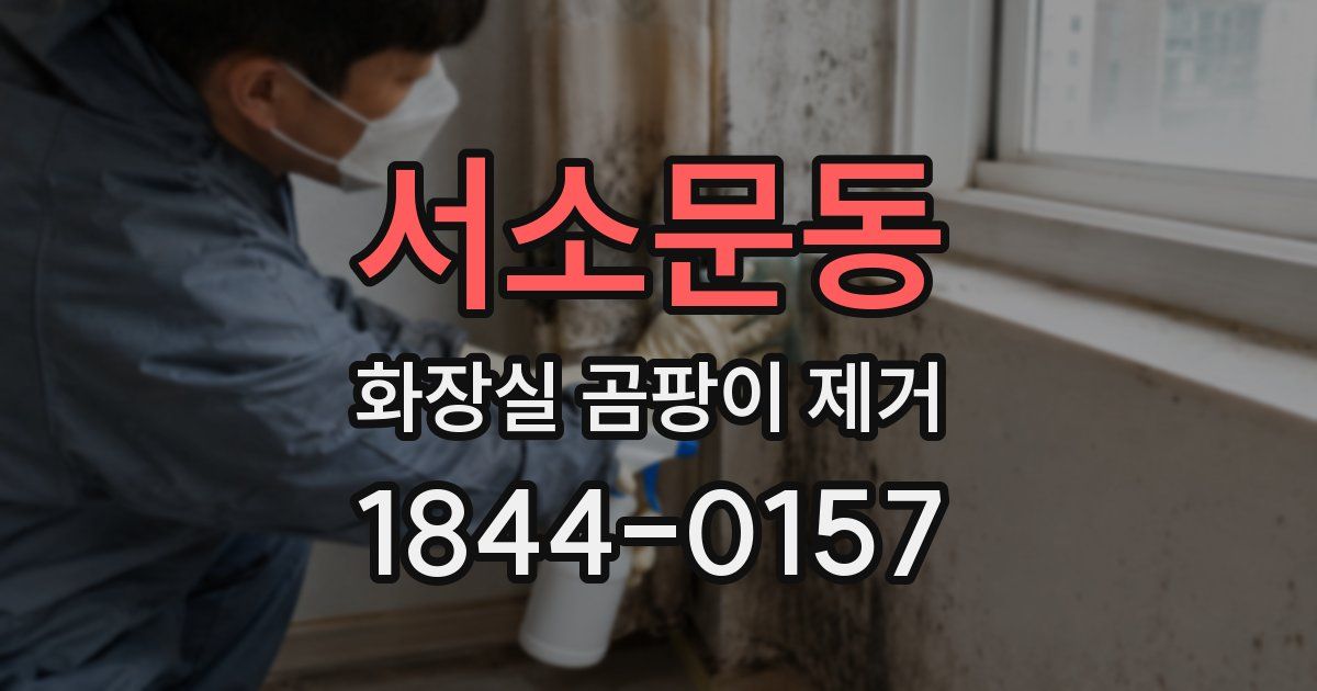 서소문동 화장실 곰팡이 제거