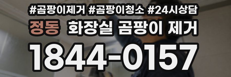 정동 화장실 곰팡이 제거