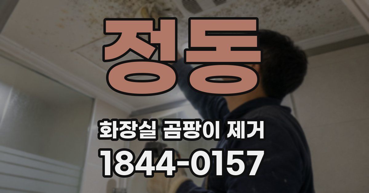 정동 화장실 곰팡이 제거