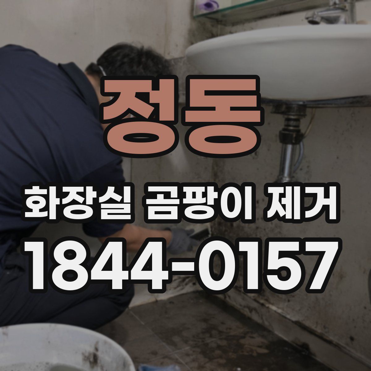정동 화장실 곰팡이 제거