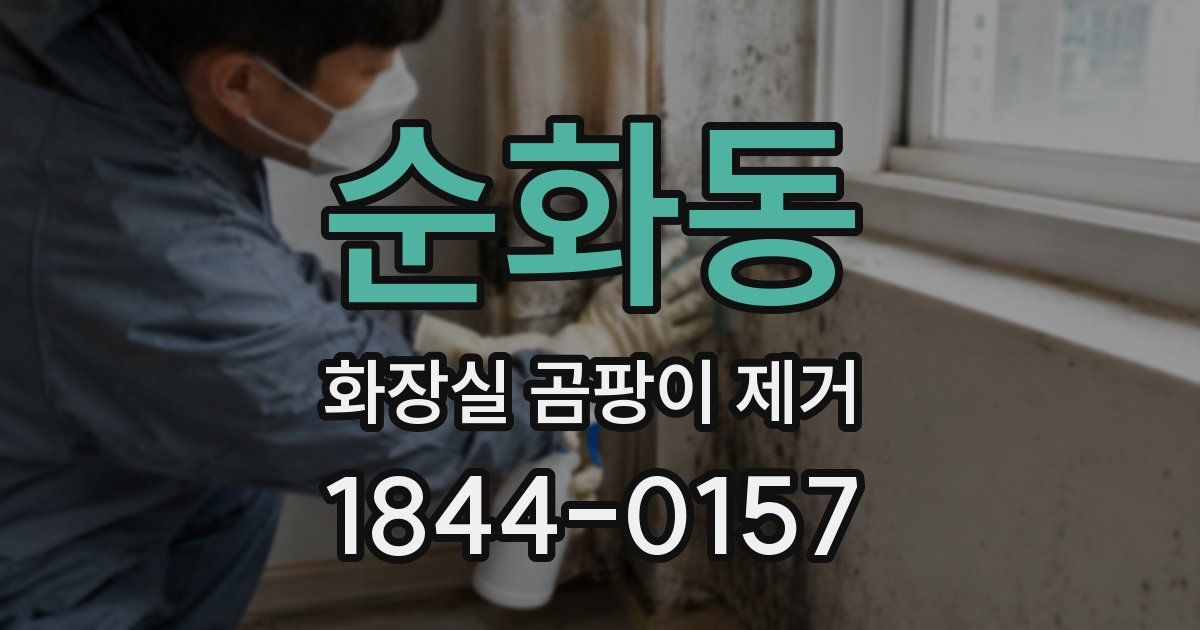 순화동 화장실 곰팡이 제거