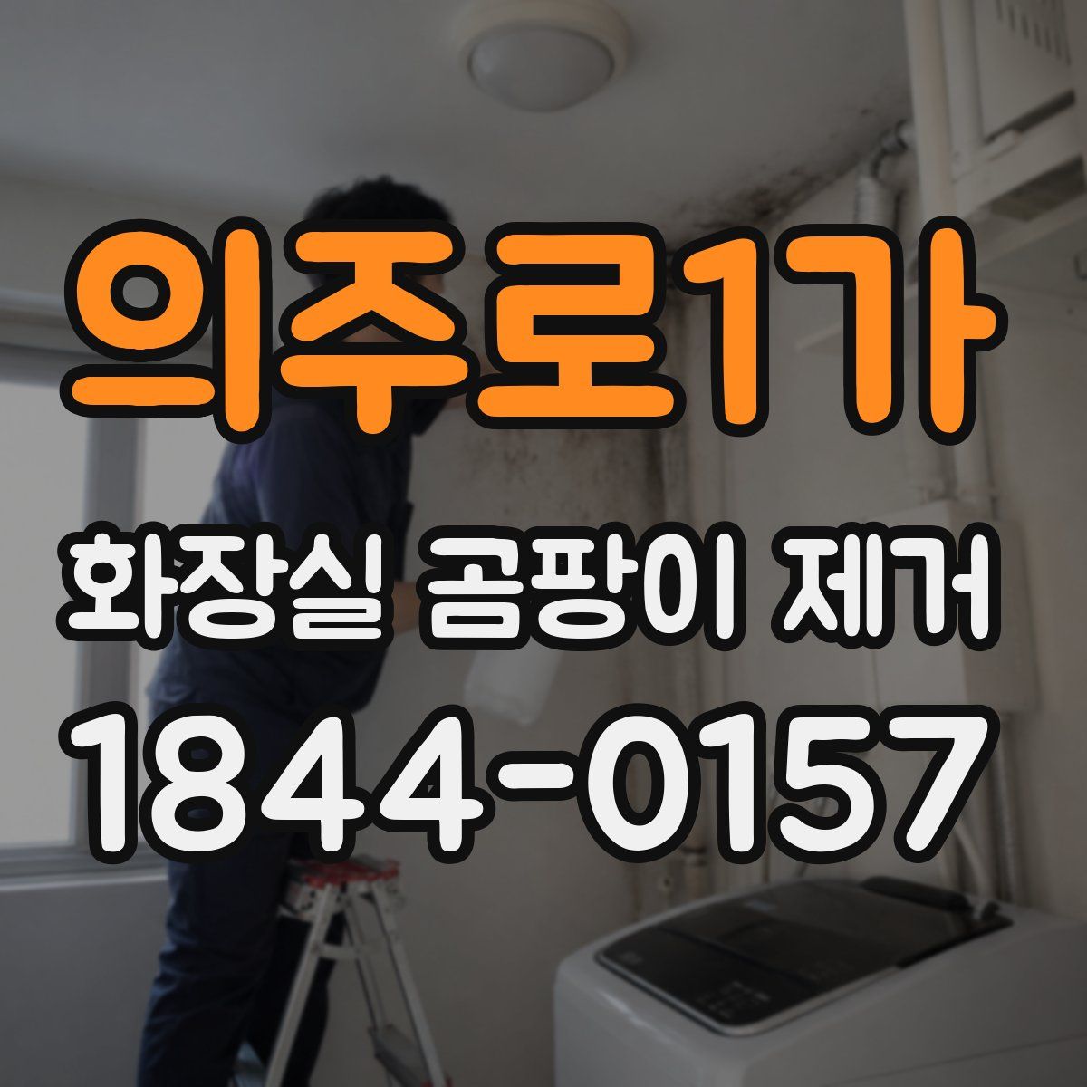 의주로1가 화장실 곰팡이 제거