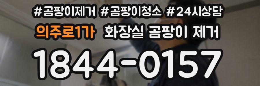 의주로1가 화장실 곰팡이 제거