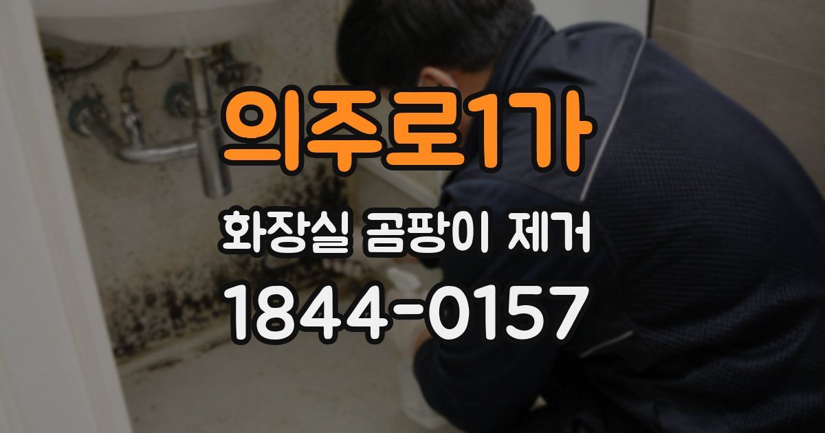 의주로1가 화장실 곰팡이 제거
