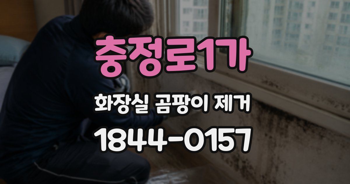 충정로1가 화장실 곰팡이 제거