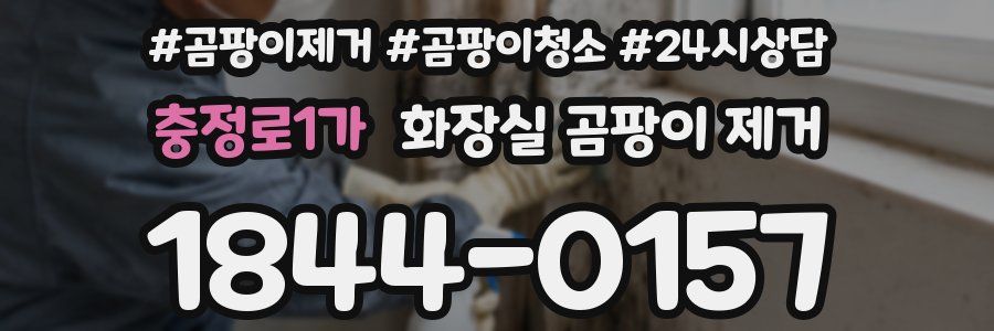 충정로1가 화장실 곰팡이 제거