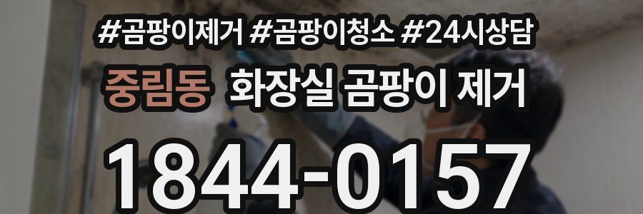중림동 화장실 곰팡이 제거