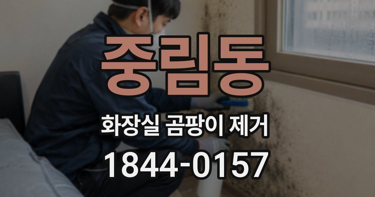중림동 화장실 곰팡이 제거