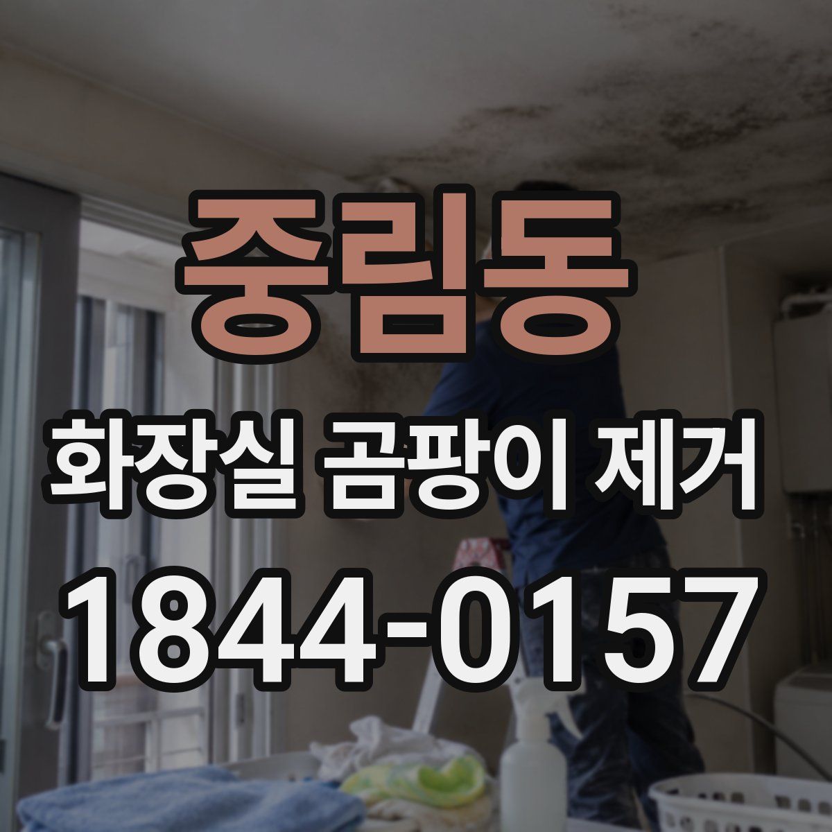 중림동 화장실 곰팡이 제거