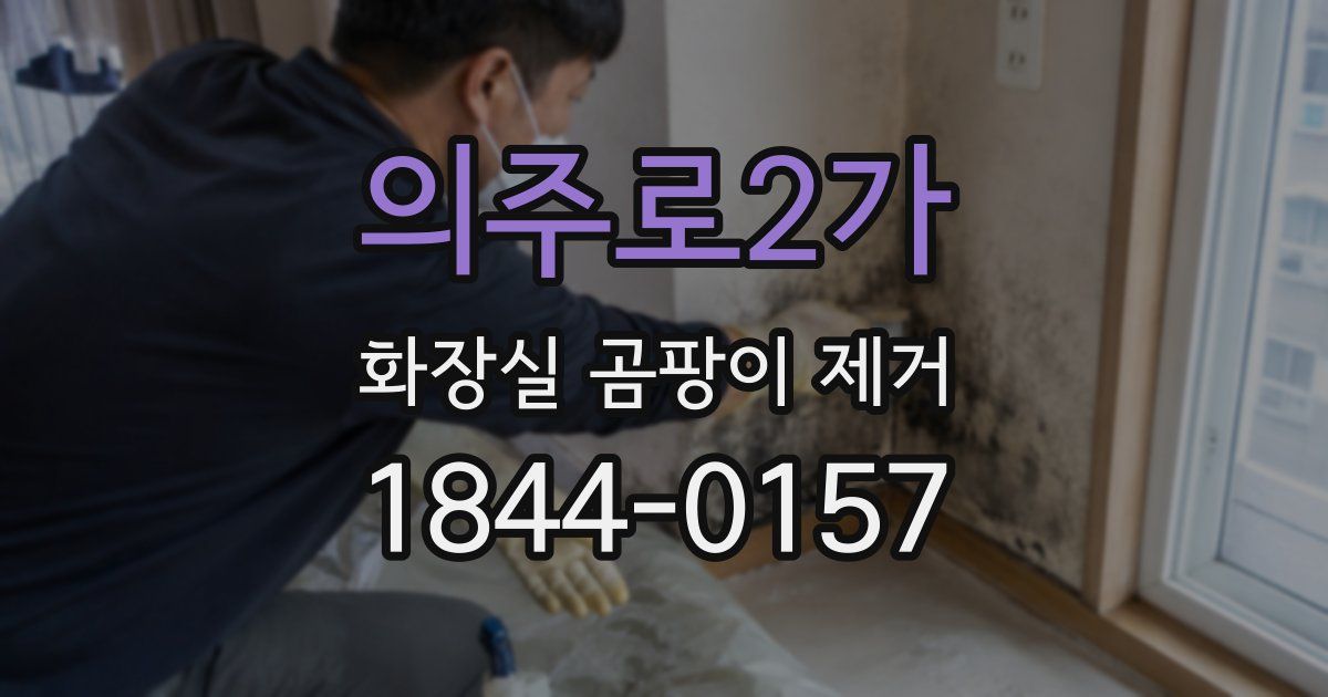 의주로2가 화장실 곰팡이 제거