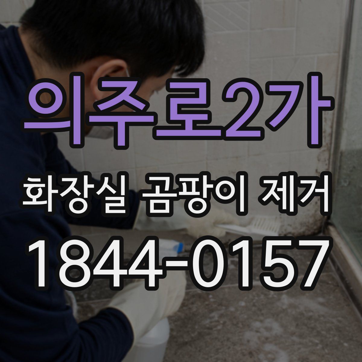 의주로2가 화장실 곰팡이 제거