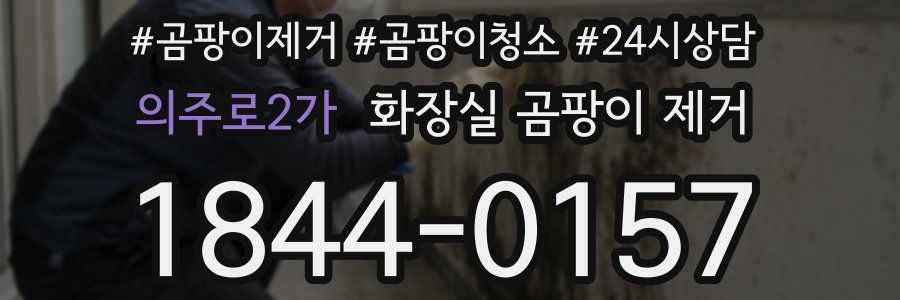 의주로2가 화장실 곰팡이 제거